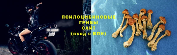дживик Баксан