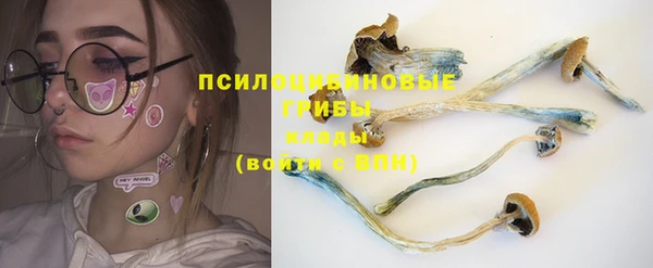 прущие крисы Балабаново