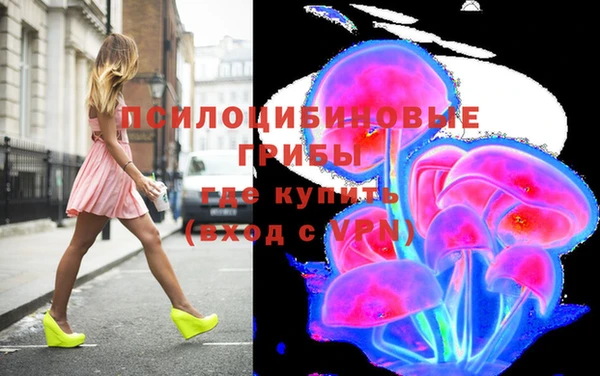дживик Баксан